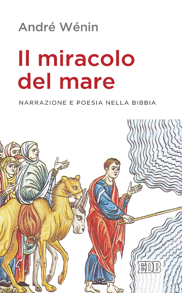 Il miracolo del mare - Librerie.coop Il miracolo del mare - Librerie.coop