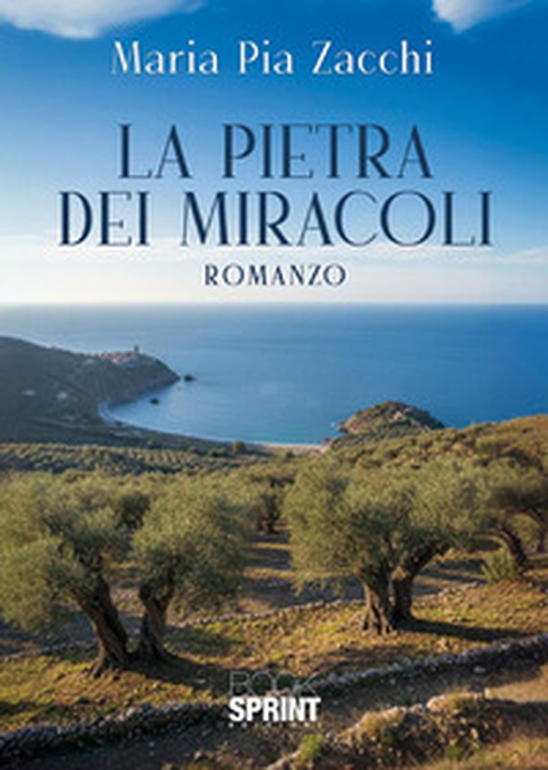 La pietra dei miracoli - Librerie.coop