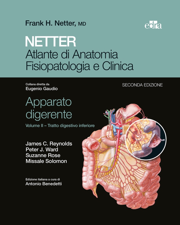 NETTER Atlante di anatomia fisiopatologia e clinica: Apparato digerente 2 - Librerie.coop NETTER Atlante di anatomia fisiopatologia e clinica: Apparato digerente 2 - Librerie.coop