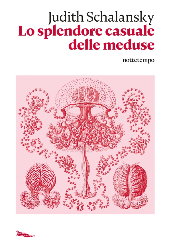 Lo splendore casuale delle meduse - Librerie.coop Lo splendore casuale delle meduse - Librerie.coop