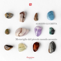 Meraviglie del piccolo mondo accanto - Librerie.coop