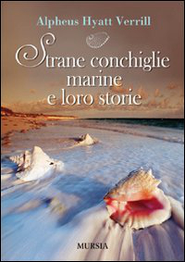 Strane conchiglie marine e loro storie - Librerie.coop Strane conchiglie marine e loro storie - Librerie.coop