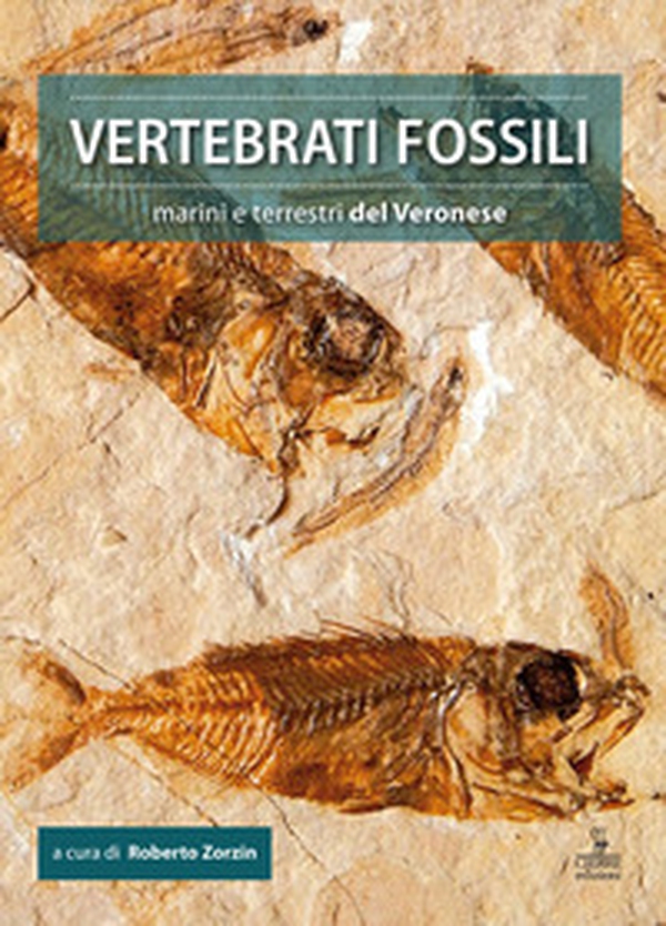Vertebrati fossili marini e terrestri del Veronese - Librerie.coop Vertebrati fossili marini e terrestri del Veronese - Librerie.coop