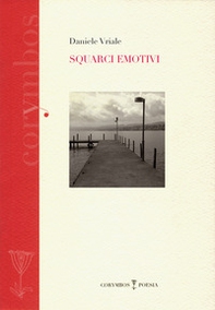 Squarci emotivi - Librerie.coop
