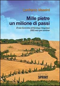 Mille pietre un milione di passi - Librerie.coop