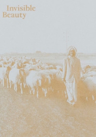 Invisible Beauty. The Pavilion of Iraq at the 56th Venice Biennale - Librerie.coop