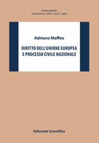 Diritto dell'Unione europea e processo civile nazionale - Librerie.coop