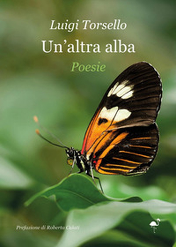 Un'altra alba - Librerie.coop Un'altra alba - Librerie.coop