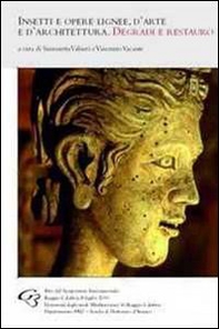 Insetti e opere lignee, d'arte e d'architettura. Degradi e restauro - Librerie.coop
