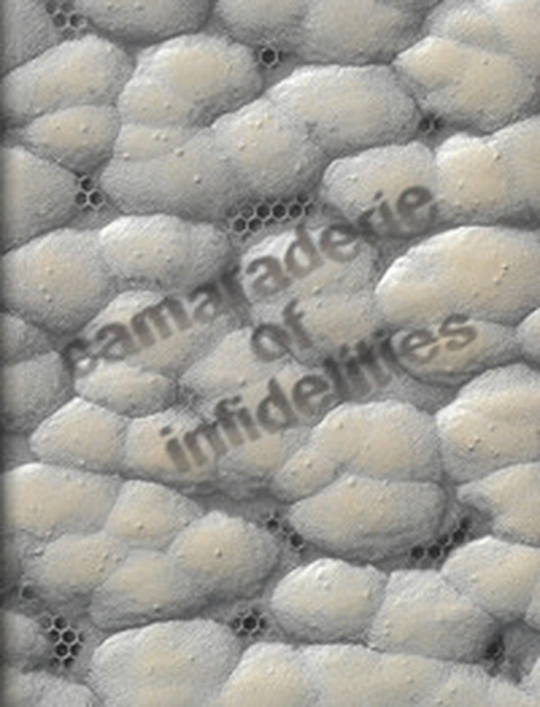 Camaraderie of infidelities - Librerie.coop