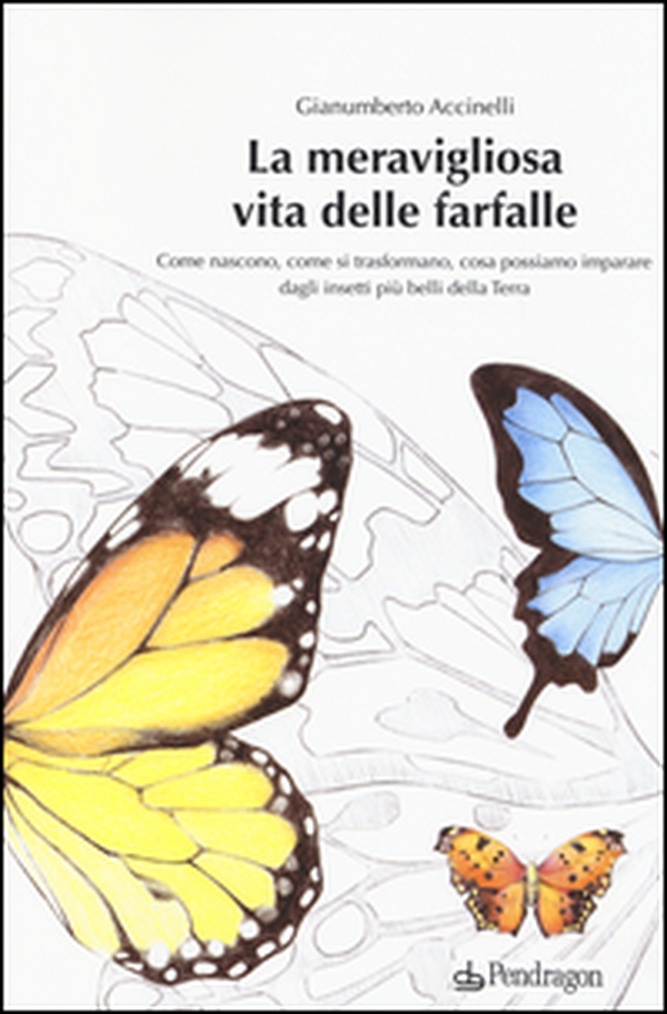 La meravigliosa vita delle farfalle. Come nascono, come si trasformano, cosa possiamo imparare dagli insetti più belli della Terra - Librerie.coop La meravigliosa vita delle farfalle. Come nascono, come si trasformano, cosa possiamo imparare dagli insetti più belli della Terra - Librerie.coop