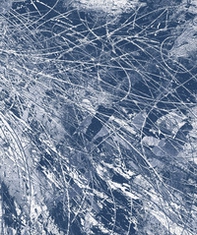 Polarities - Librerie.coop Polarities - Librerie.coop