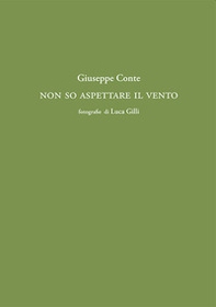 Non so fermare il vento - Librerie.coop Non so fermare il vento - Librerie.coop