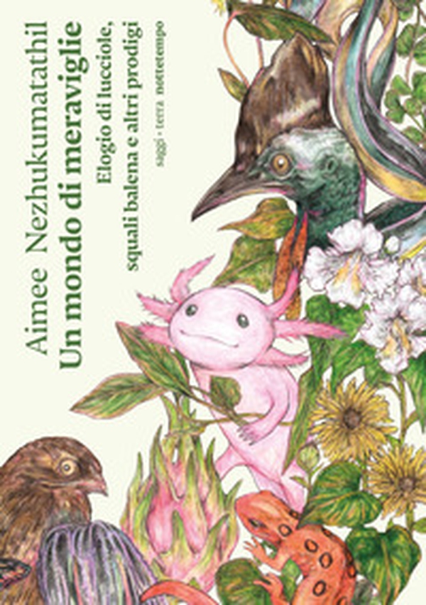 Un mondo di meraviglie. Elogio di lucciole, squali balena e altri prodigi - Librerie.coop Un mondo di meraviglie. Elogio di lucciole, squali balena e altri prodigi - Librerie.coop