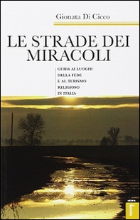 Le strade dei miracoli. Guida ai luoghi della fede e al turismo in Italia - Librerie.coop