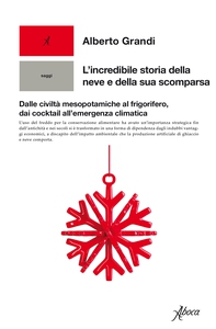 L'incredibile storia della neve e della sua scomparsa - Librerie.coop