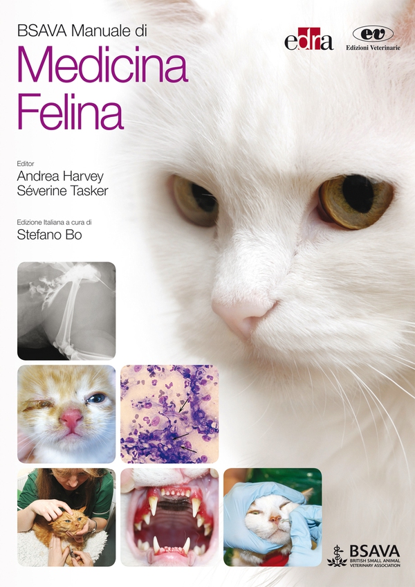 BSAVA Manuale di Medicina Felina - Librerie.coop