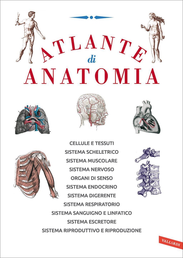 Atlante di anatomia - Librerie.coop Atlante di anatomia - Librerie.coop