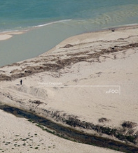 10 foci - Librerie.coop