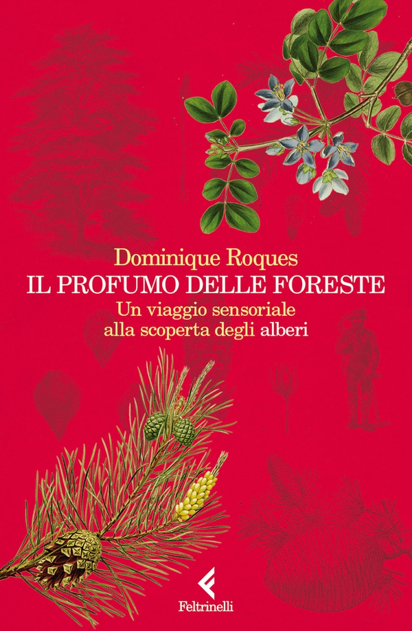 Il profumo delle foreste - Librerie.coop Il profumo delle foreste - Librerie.coop