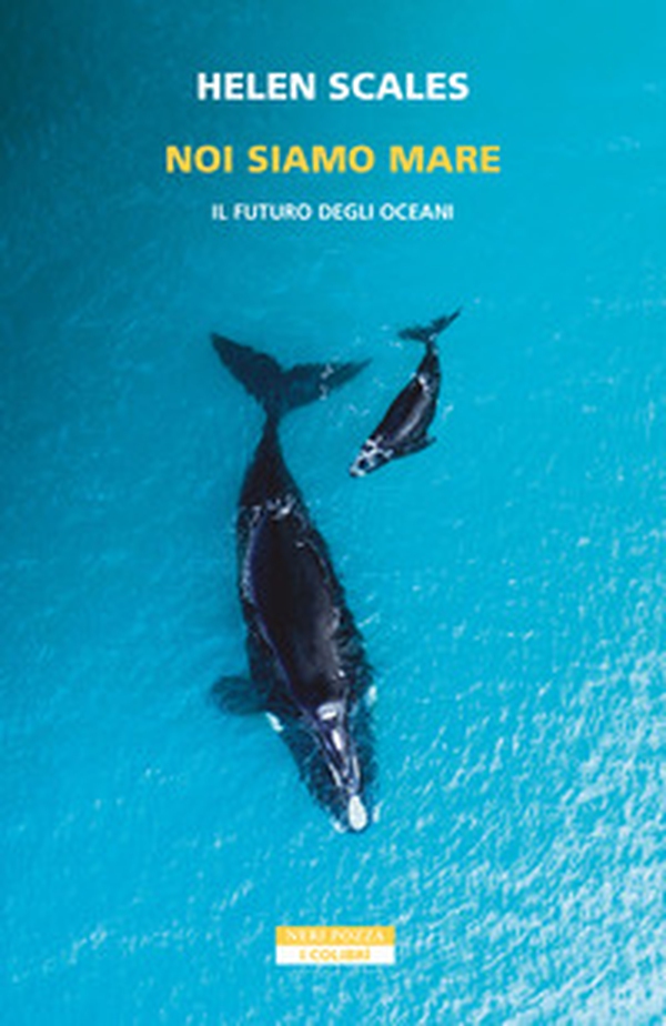 Noi siamo mare. Il futuro degli oceani - Librerie.coop