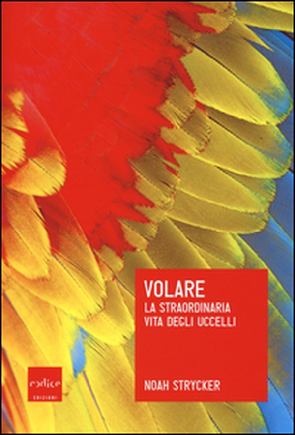 Volare. La straordinaria vita degli uccelli - Librerie.coop Volare. La straordinaria vita degli uccelli - Librerie.coop