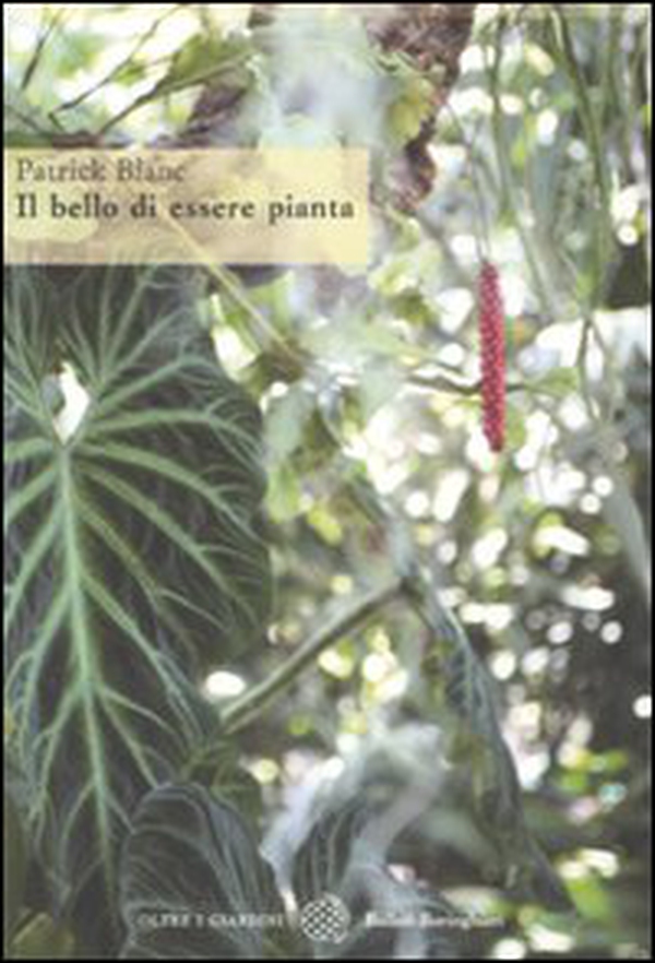 Il bello di essere pianta - Librerie.coop Il bello di essere pianta - Librerie.coop