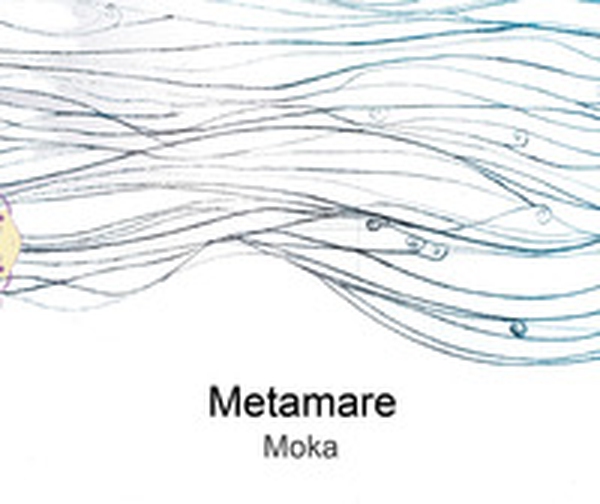 Metamare - Librerie.coop Metamare - Librerie.coop
