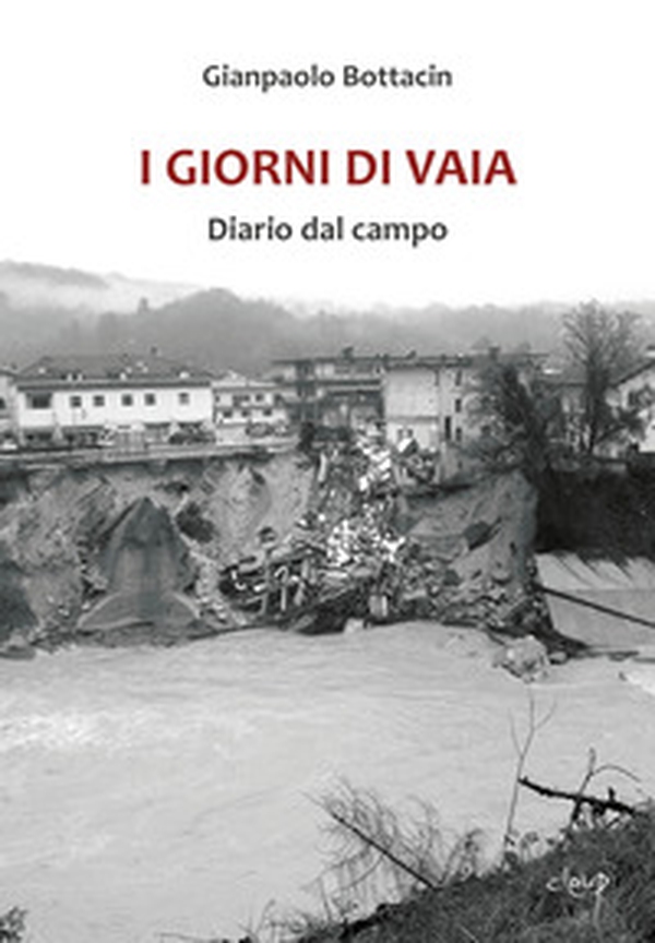 I giorni di Vaia. Diario dal campo - Librerie.coop I giorni di Vaia. Diario dal campo - Librerie.coop