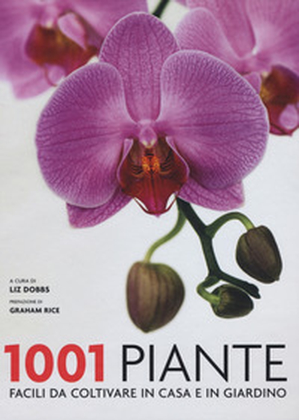 1001 piante facili da coltivare per la casa e il giardino - Librerie.coop 1001 piante facili da coltivare per la casa e il giardino - Librerie.coop