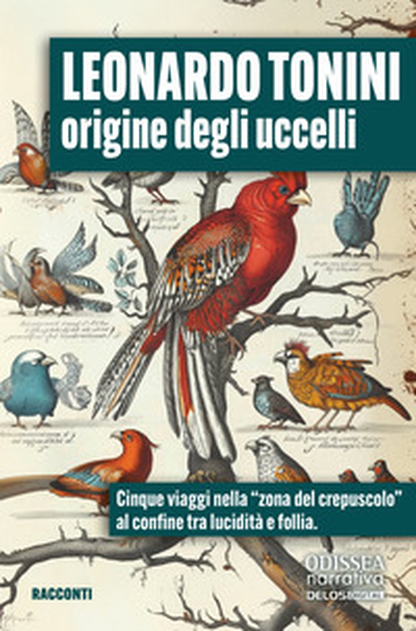 Origine degli uccelli - Librerie.coop Origine degli uccelli - Librerie.coop