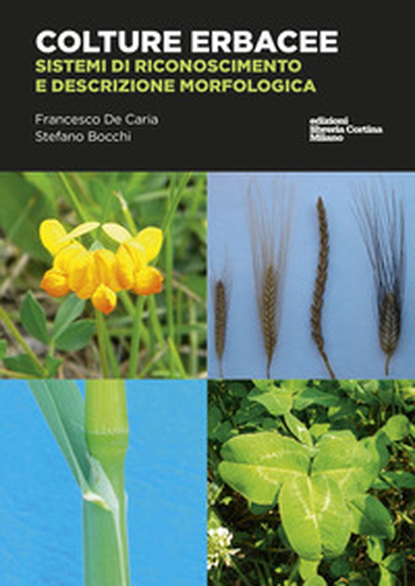 Colture erbacee. Riconoscimento e descrizione morfologica - Librerie.coop Colture erbacee. Riconoscimento e descrizione morfologica - Librerie.coop