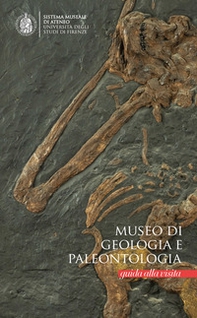 Museo di geologia e palentologia. Guida alla visita - Librerie.coop