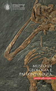 Museo di geologia e palentologia. Guida alla visita - Librerie.coop
