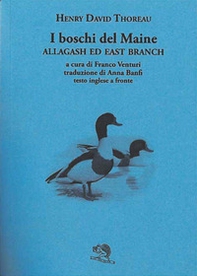 I boschi del Maine. Allagash ed east branch. Testo inglese a fronte - Vol. 3 - Librerie.coop