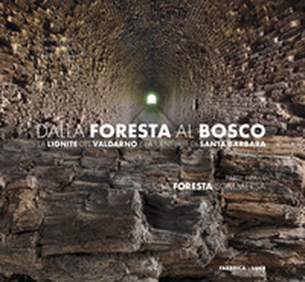 Dalla foresta al bosco. La lignite del Valdarno e la centrale di Santa Barbara. Parte prima: la foresta sommersa - Librerie.coop Dalla foresta al bosco. La lignite del Valdarno e la centrale di Santa Barbara. Parte prima: la foresta sommersa - Librerie.coop