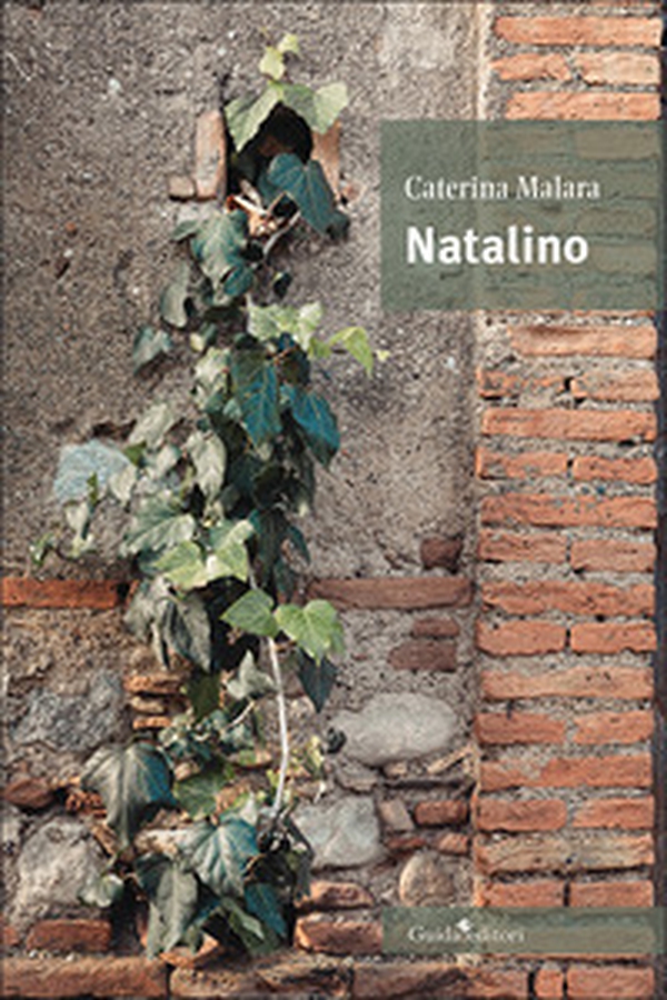 Natalino - Librerie.coop Natalino - Librerie.coop