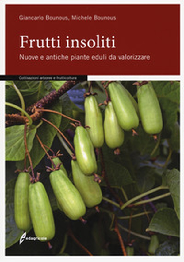 Frutti insoliti. Nuove e antiche piante eduli da valorizzare - Librerie.coop Frutti insoliti. Nuove e antiche piante eduli da valorizzare - Librerie.coop