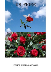 Un fiore - Librerie.coop