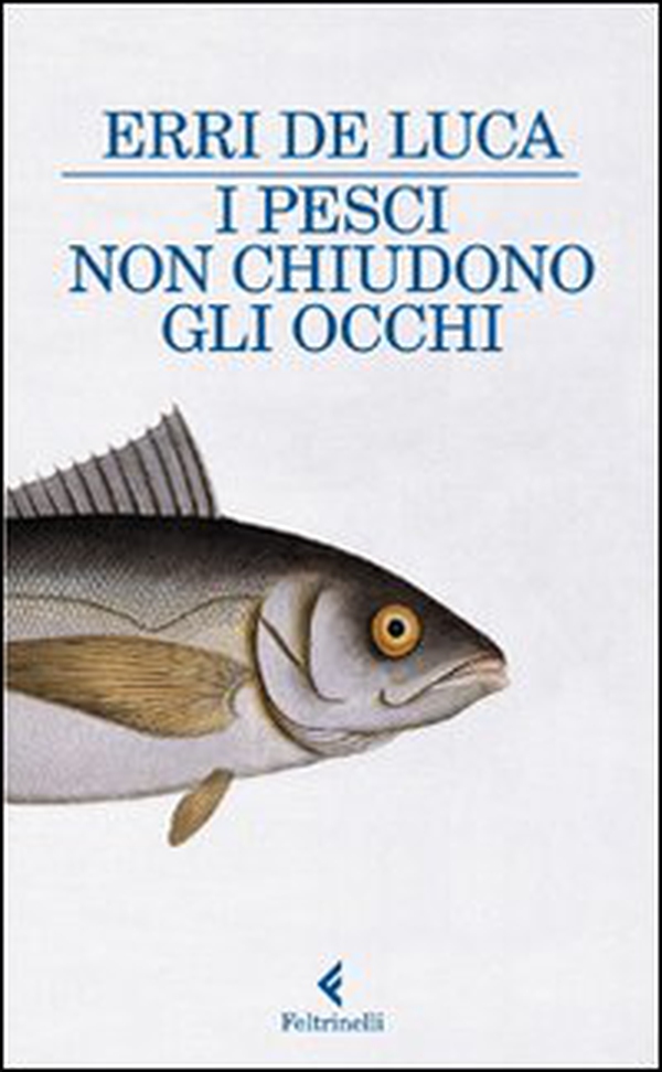 I pesci non chiudono gli occhi - Librerie.coop I pesci non chiudono gli occhi - Librerie.coop