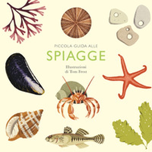 Piccola guida alle spiagge - Librerie.coop Piccola guida alle spiagge - Librerie.coop