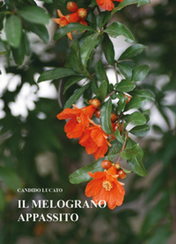 Il melograno appassito - Librerie.coop Il melograno appassito - Librerie.coop