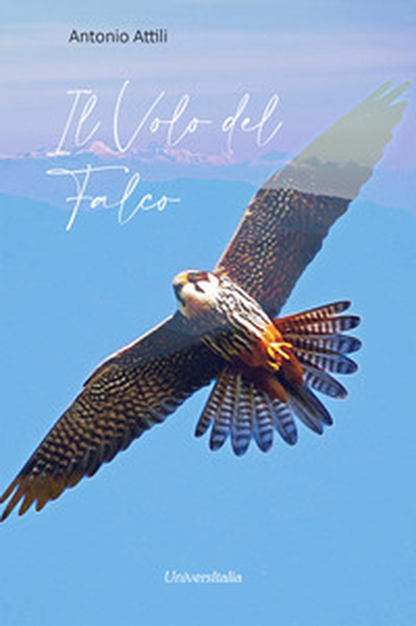Il volo del falco - Librerie.coop Il volo del falco - Librerie.coop