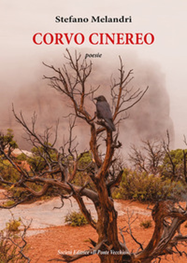 Corvo cinereo - Librerie.coop Corvo cinereo - Librerie.coop