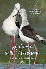 La danza della creazione. Armonia e bellezza - Librerie.coop