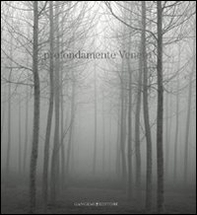 Profondamente Veneto. Fotografie di Alessandro Martinelli - Librerie.coop