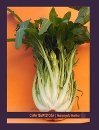 Cima tempestosa. Monologhi e altre amenità raccolte con vanità - Librerie.coop