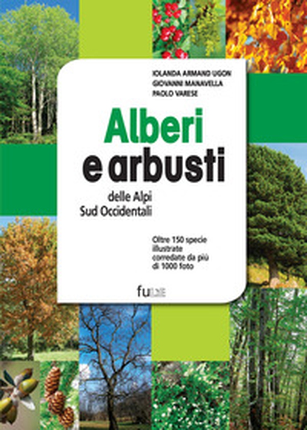 Alberi e arbusti delle Alpi Occidentali - Librerie.coop Alberi e arbusti delle Alpi Occidentali - Librerie.coop