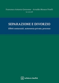 Separazione e divorzio. Effetti sostanziali, autonomia privata, processo - Librerie.coop