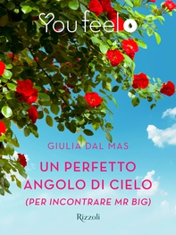 Un perfetto angolo di cielo (per incontrare Mr Big) (Youfeel) - Librerie.coop